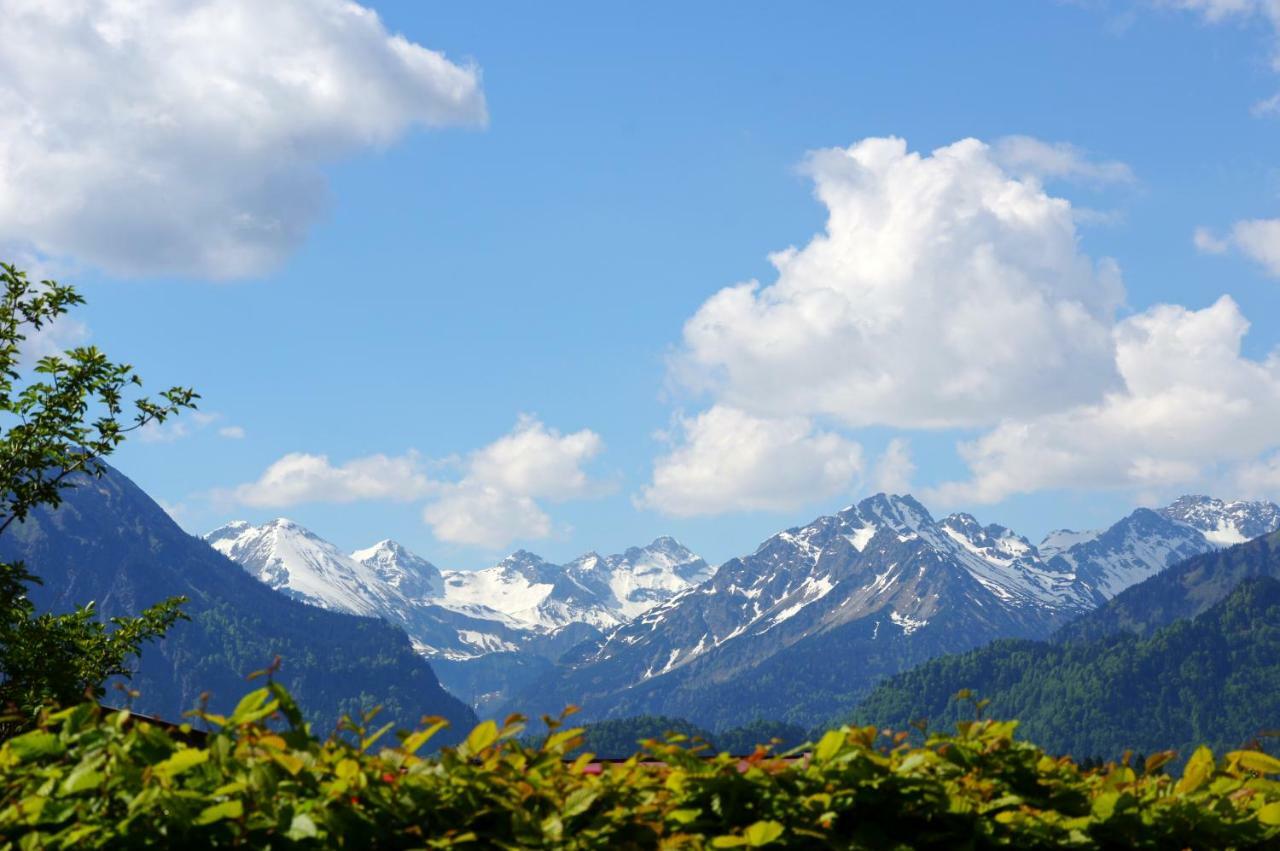 Alpenblick Apartment